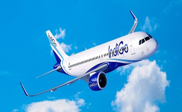 indigo.jpg