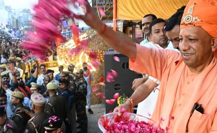 cm-yogi.jpg