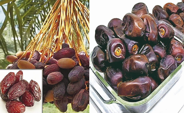 dates.jpg