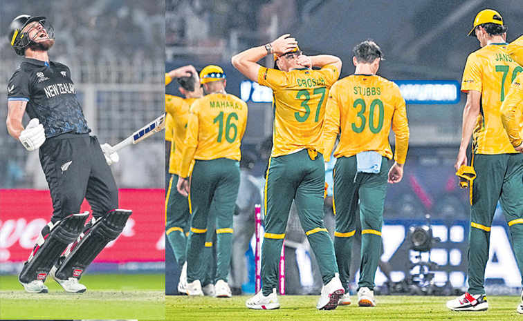 sa.jpg