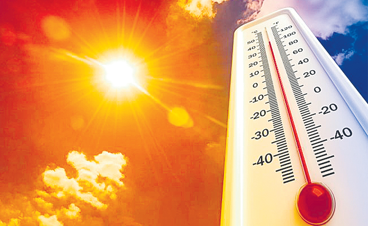 temp.jpg