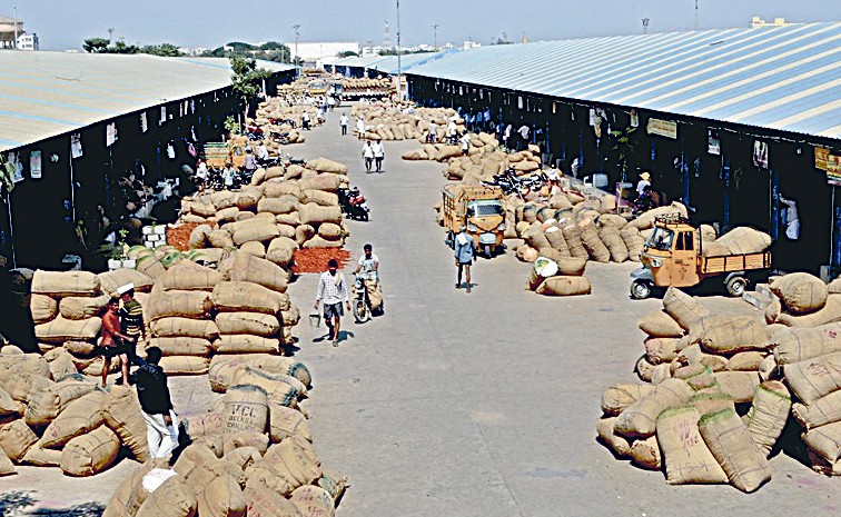 GUNTUR-MIRCH-YARD--0.jpg