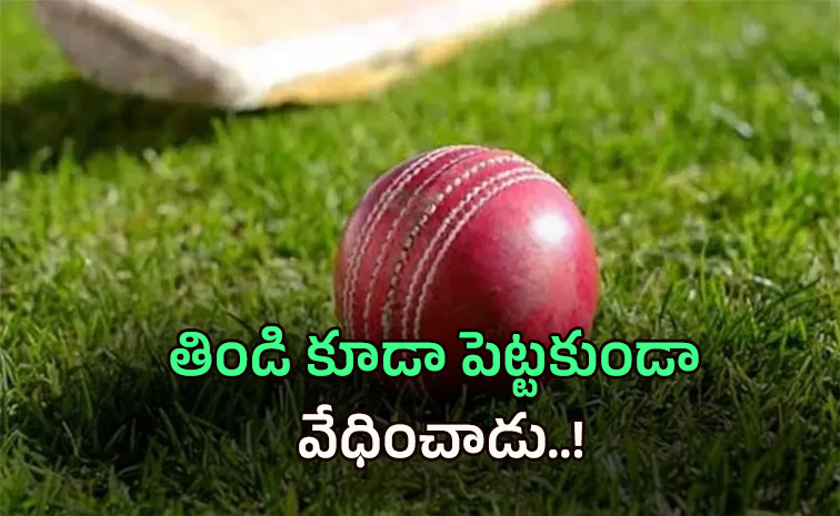 cricket2.jpg
