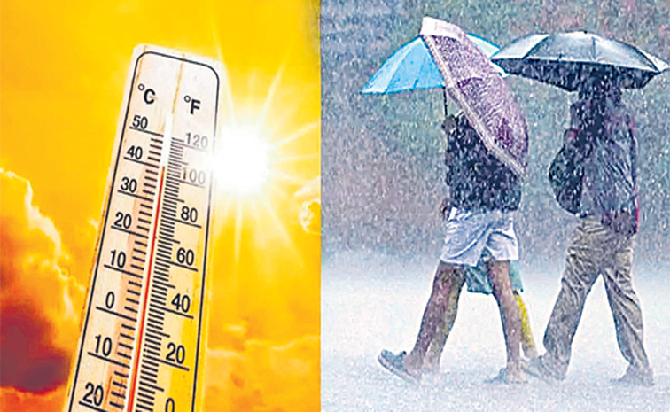 summer.jpg