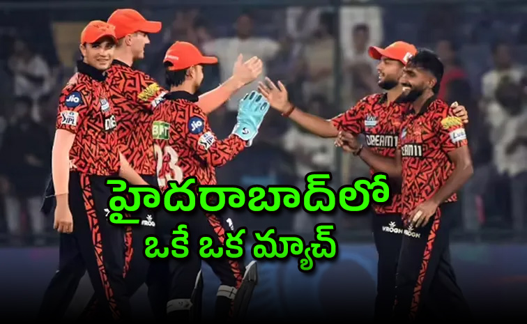 sunrisers5.jpg