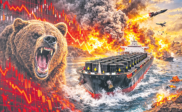 bear.jpg