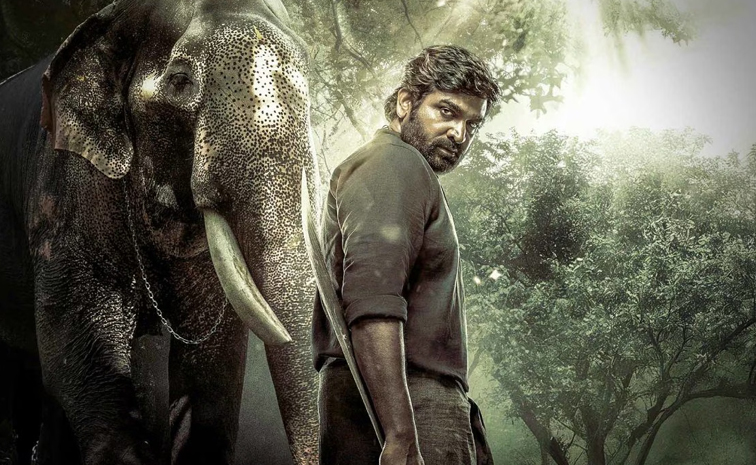 kaattaan.jpg