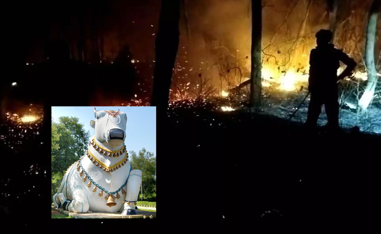 wildfire-.jpg