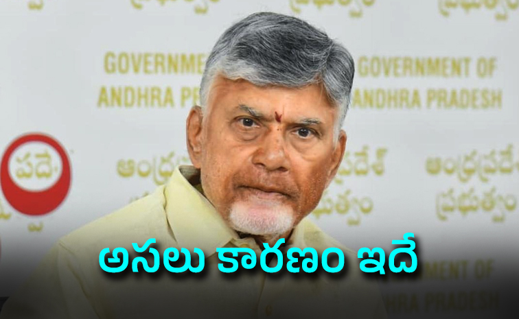 AP-Cabinet.jpg