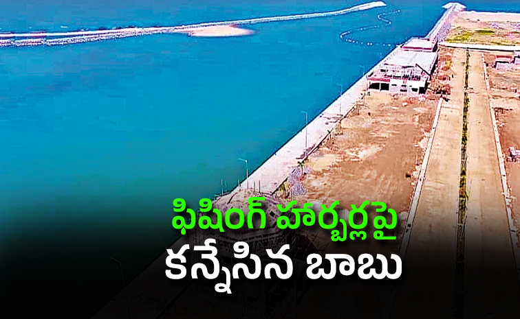 Chandrababu-Naidu.jpg