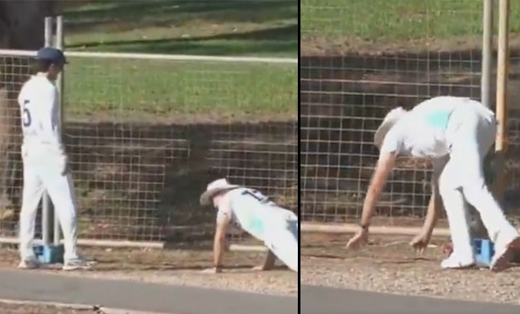 Cricket.jpg