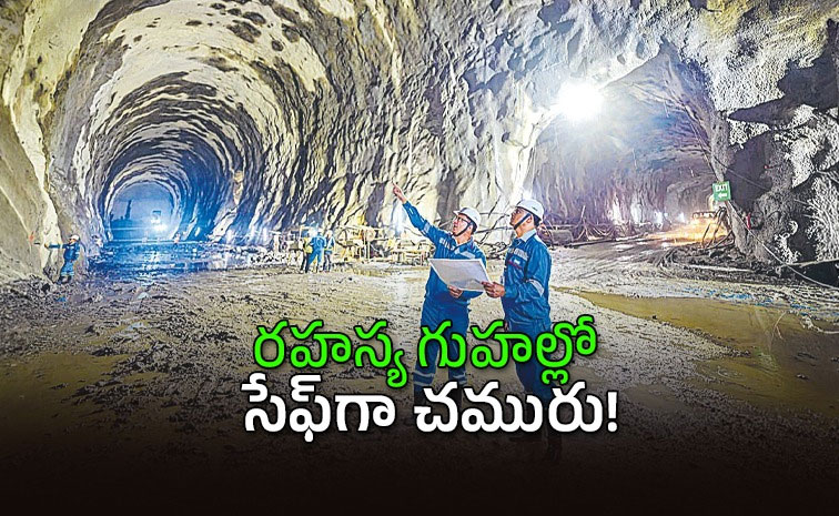 Oil-Reserve-Cave.jpg
