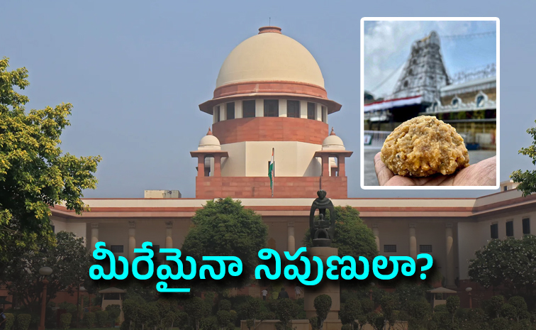TTD-Laddu_0.jpg