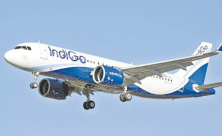 INDIGO.jpg