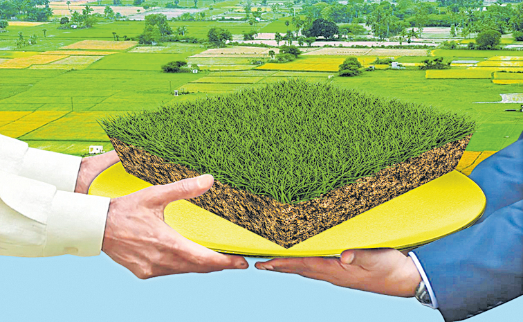 BABU_LANDS.jpg