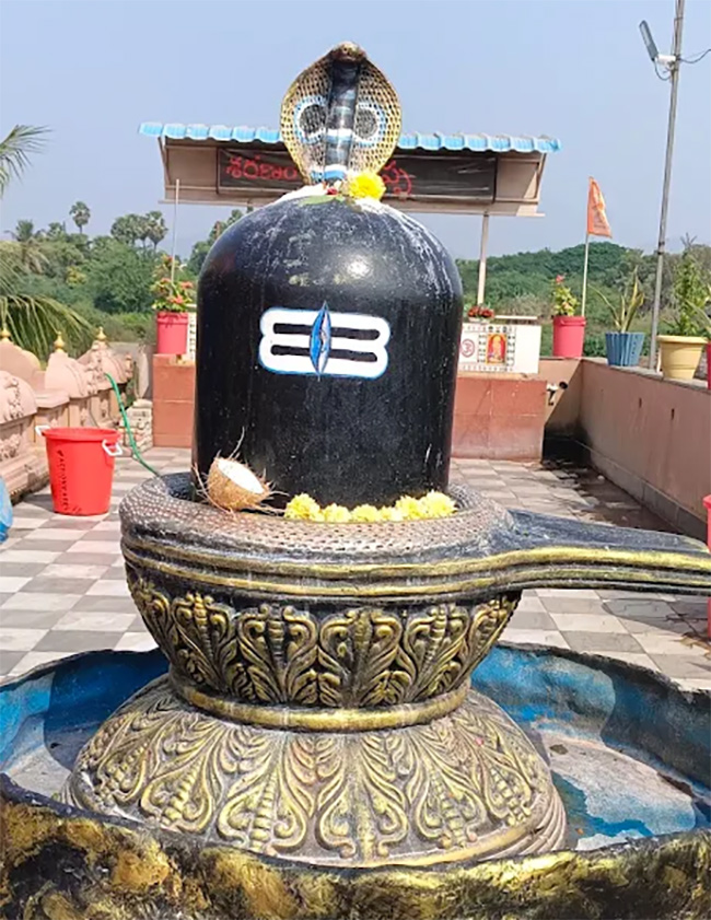 Uttarandhra_20Sabarimala_20Ayyappa_20Swamy_20Temple_20At_20Pendurthi__20_2812_29.jpg 12
