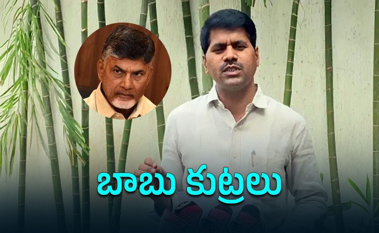 chandrababu_20naidu.jpeg