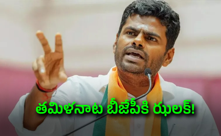 Annamalai-To-Launch-New-Party.jpg