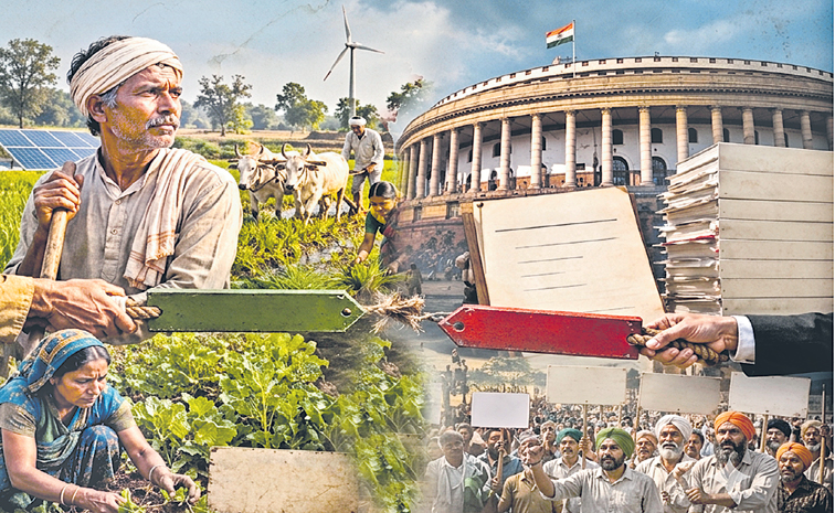 Fedaral-Agriculture-1.jpg