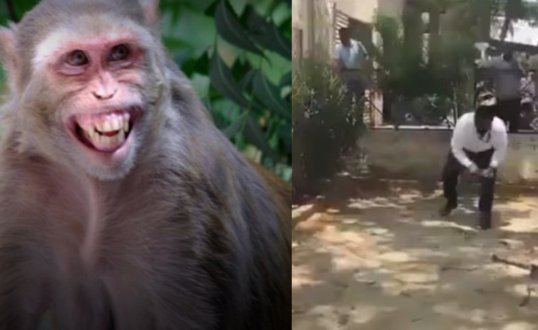 Monekynotes.jpg