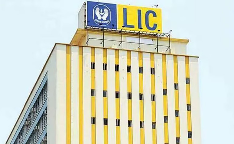 lic01.jpg