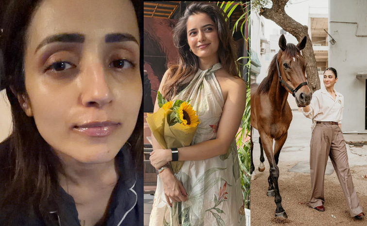 trisha-ashika.jpg