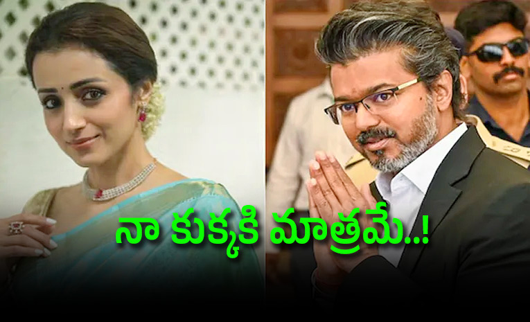 Trisha-shares-witty-post.jpg