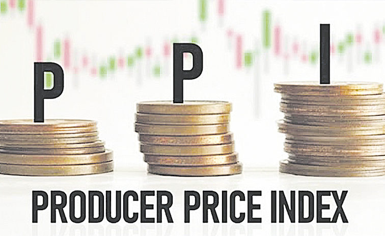 PPI-INDEX.jpg