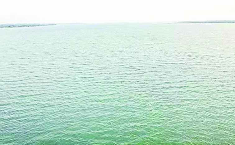 water.jpg