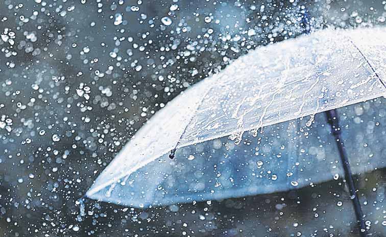 rain.jpg
