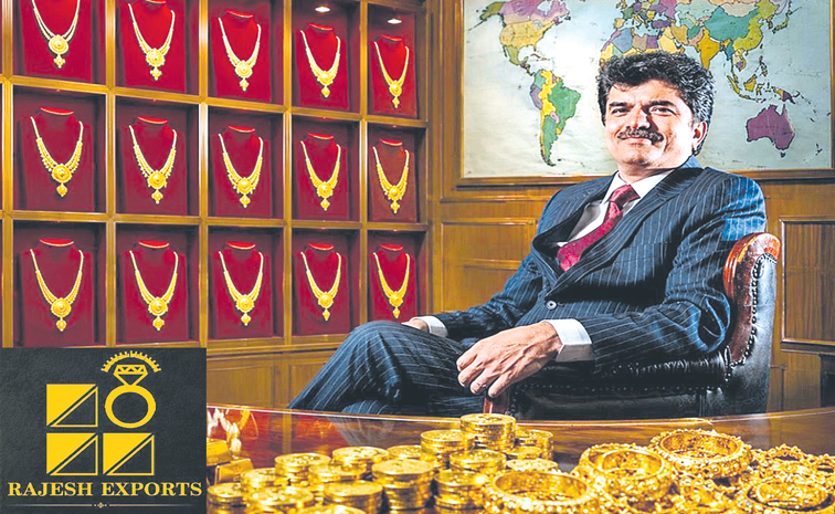 RAJESH-EXPORTS-CASE.jpg
