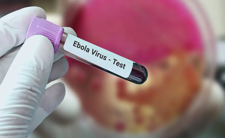 rajasthan-ebola.jpg