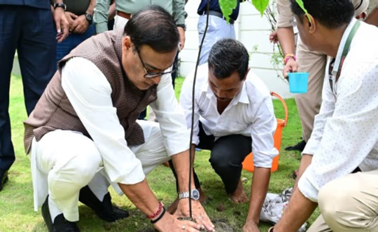 ASSAM.jpg