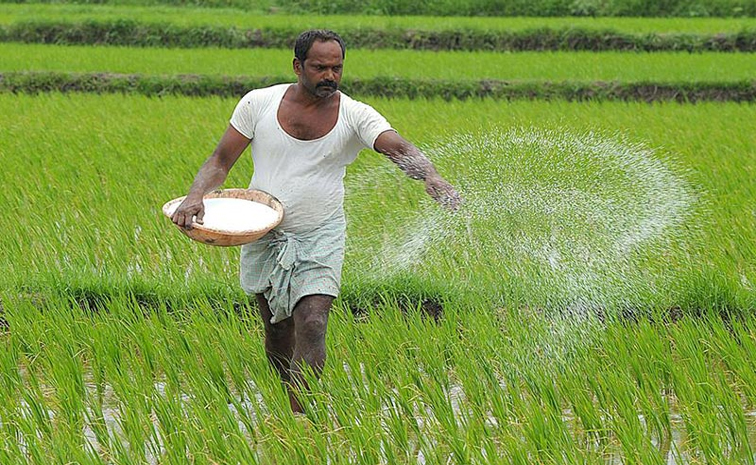 farmer.jpg