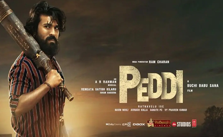 peddi_0.jpg