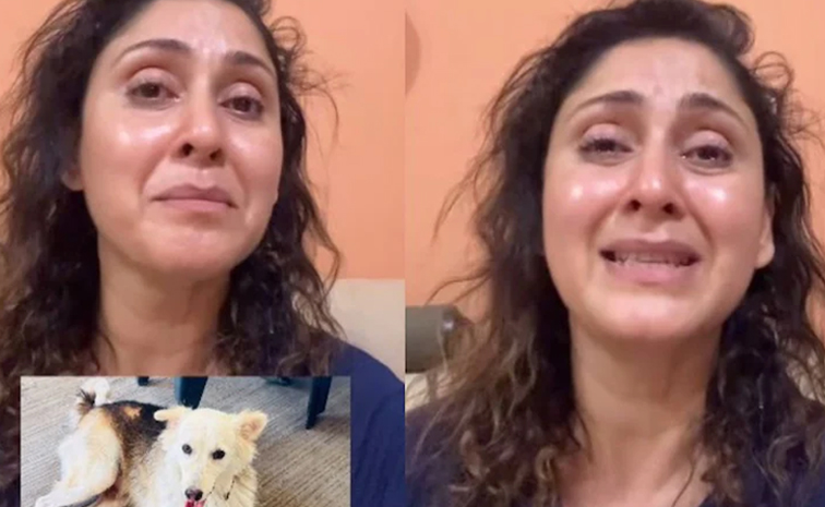 manjari.jpg