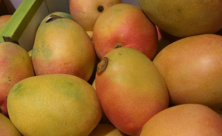 Mango.jpg