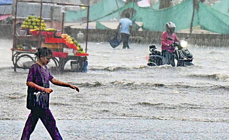RAIN.jpg
