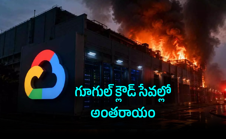 cd01_0.jpg
