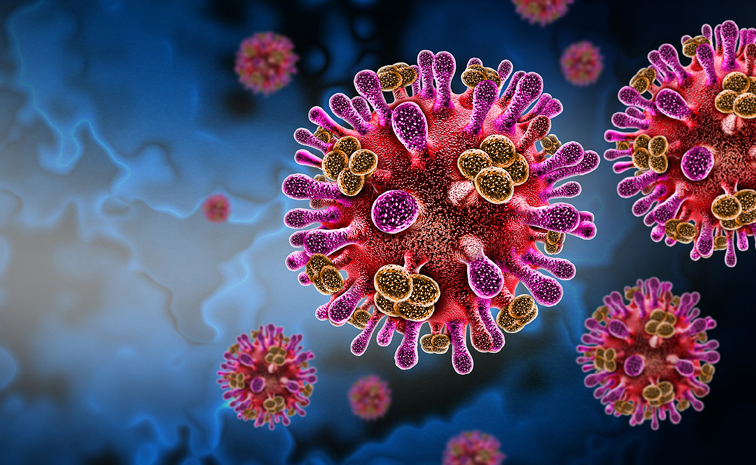 Kerala-nipahvirus.jpg