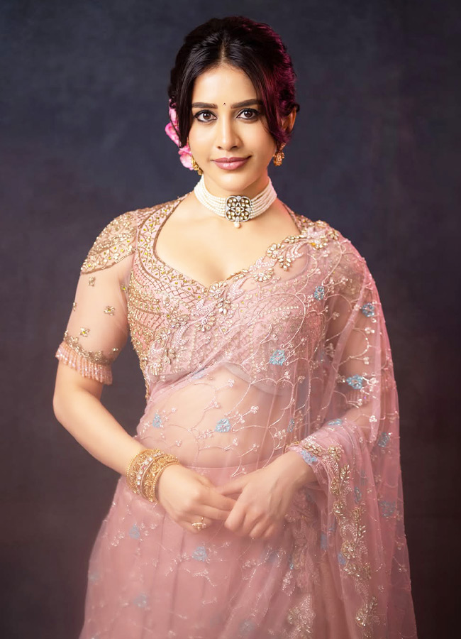 Nabha_20Natesh_20_2811_29.jpg 11