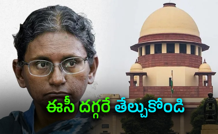 Congress-Meenakshi-Natarajan.jpg