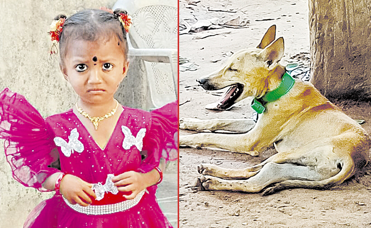 Gnaneswari.jpg