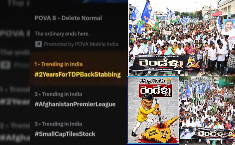TDP.jpg