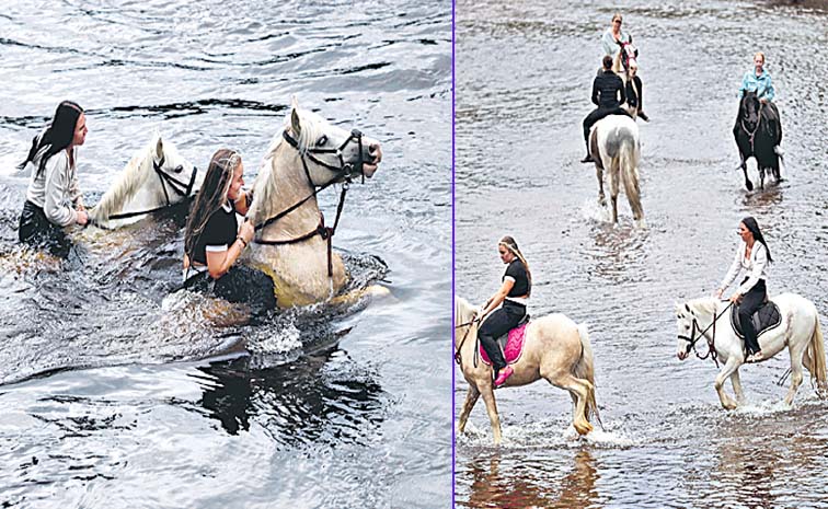 Horse_20Bathing.jpg