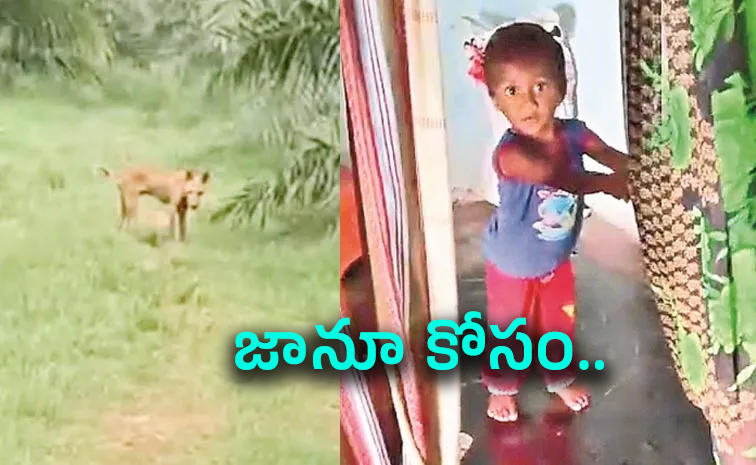 Kakinada-Child.jpg
