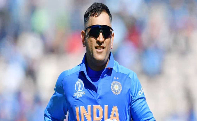 msd.jpg