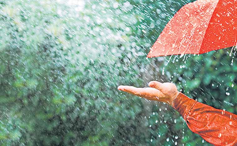 rains.jpg