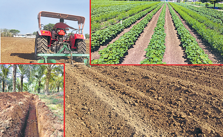 RAISED-BEDS-1.jpg