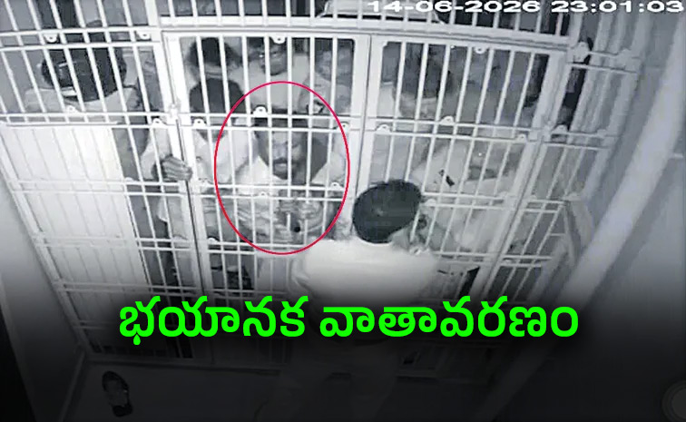 TDP-Leaders-Anarchy.jpg